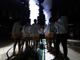Baylor Bears Womens Basketball
