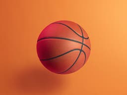 Bethune-Cookman Wildcats Mens Basketball