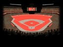 Home team image