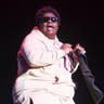 BigXthaPlug image