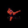 Black Belt Spectacular