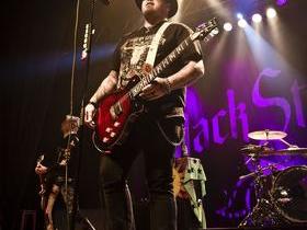 Black Stone Cherry — Warner Vineyards Paw Paw