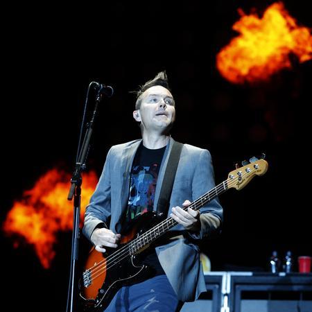 Blink 182 ツアー　パス　レア Blink 182 Tickets | eBay