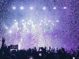 Bonnaroo Music Festival