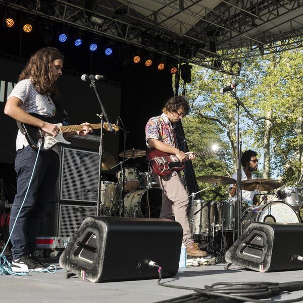 Boogarins image