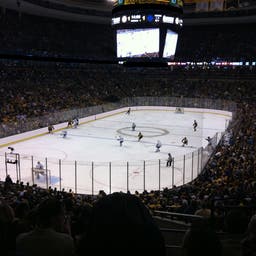 Boston Bruins