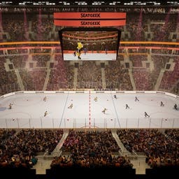 Boston Bruins