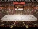 Home team image