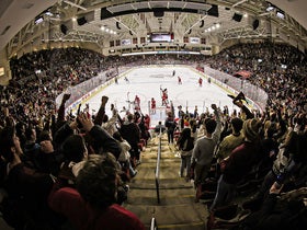 Boston College Eagles Mens Hockey
