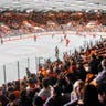 Bowling Green State Falcons Mens Hockey