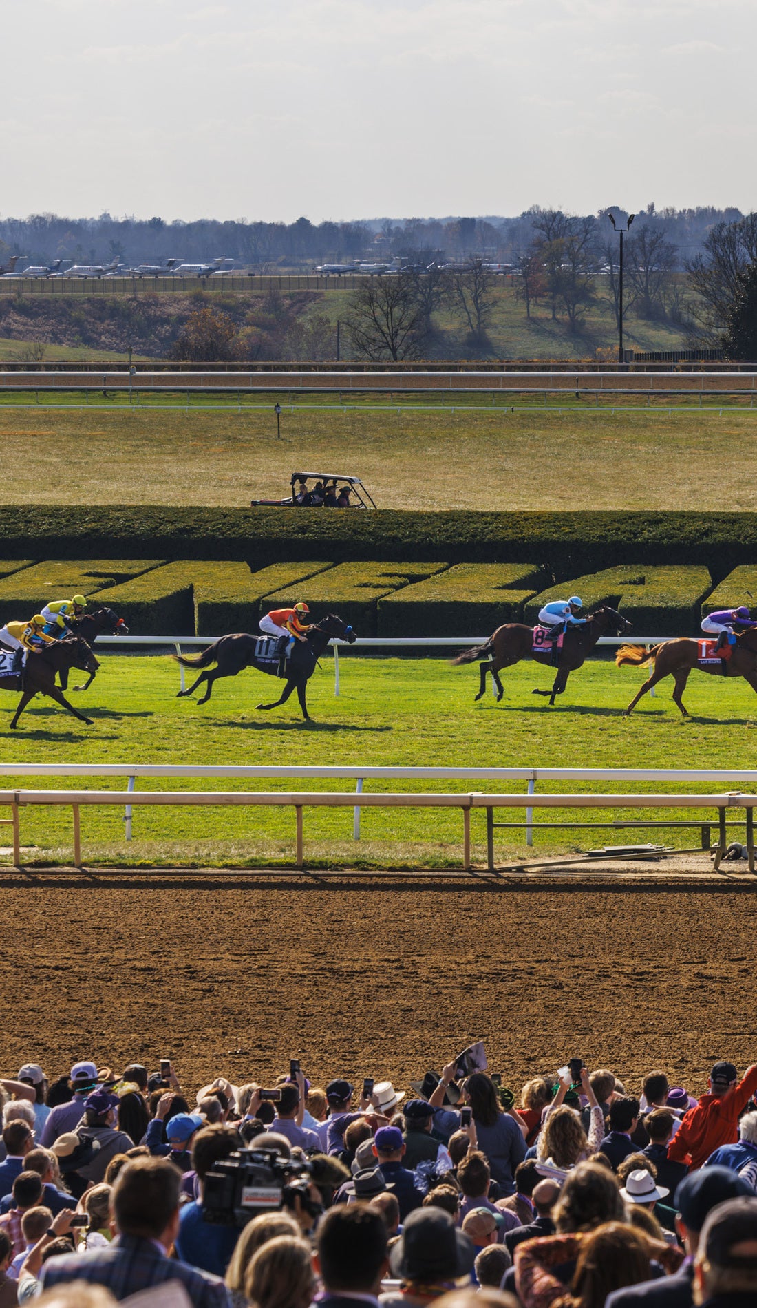 Breeders' Cup World Championships promotional image for upcoming events and ticket sales