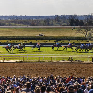 Breeders' Cup World Championships Tickets