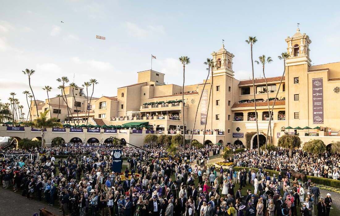Promotional image for 2025 Breeders' Cup World Championships Tickets Saturday tickets at Del Mar Thoroughbred Club on Nov 1, 2025
