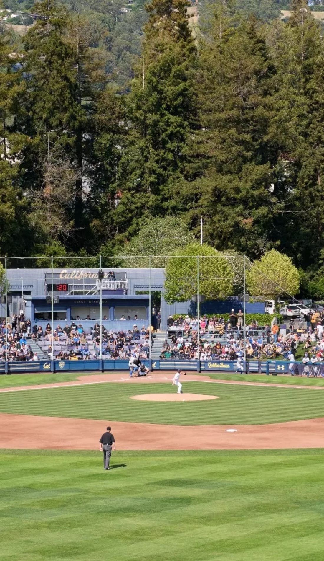 California Golden Bears Baseball promotional image for upcoming events and ticket sales