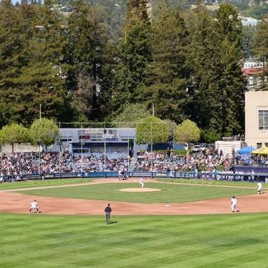 California Golden Bears Baseball Tickets 