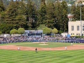 California Golden Bears Baseball at Evans Diamond at Stu Gordon Stadium
