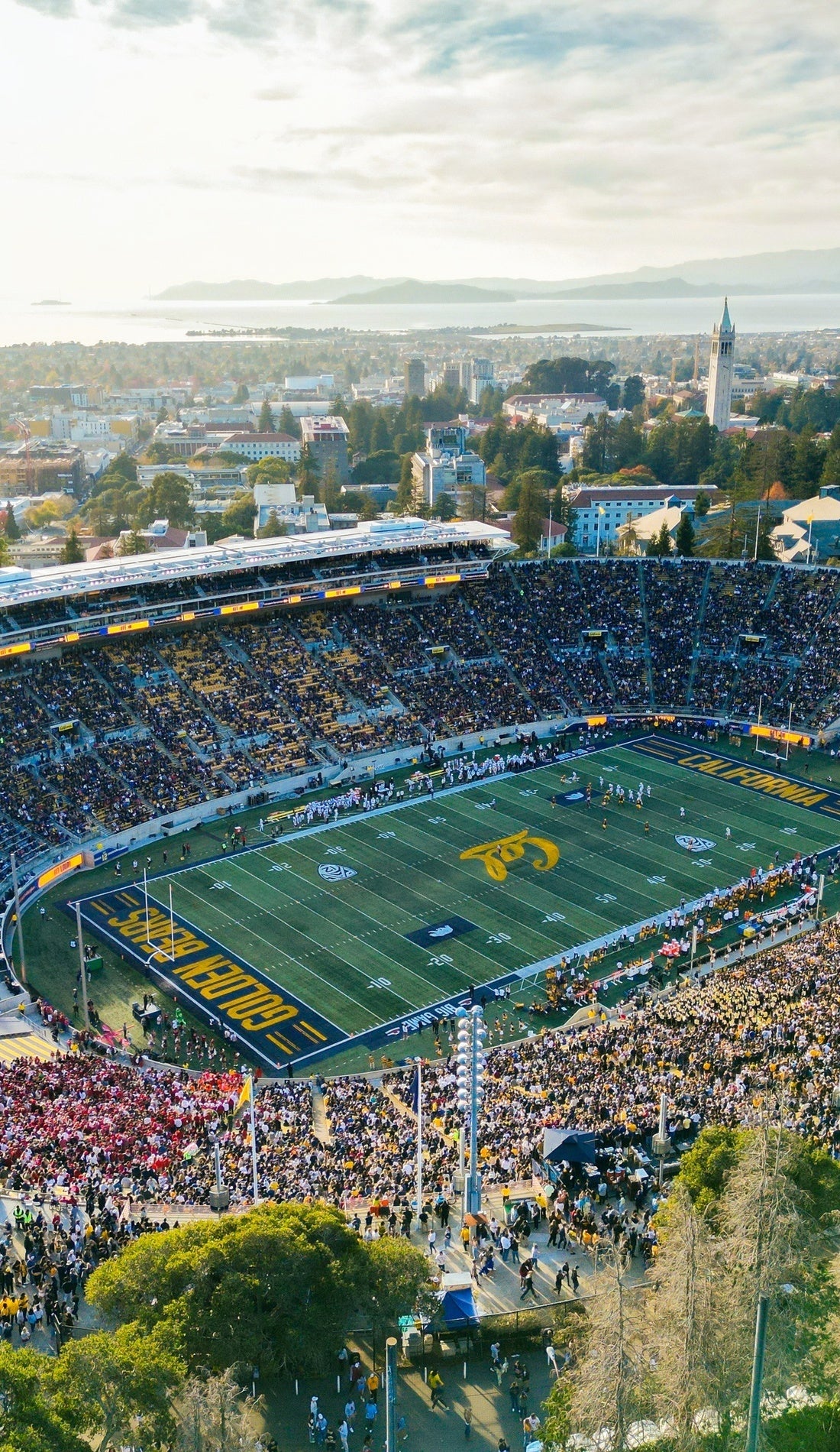 2025 California Golden Bears Football Tickets Official Ticket Marketplace 1100x1900