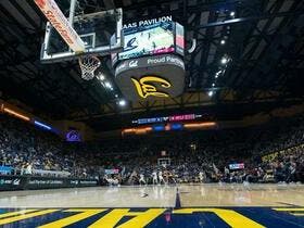 California Golden Bears Mens Basketball