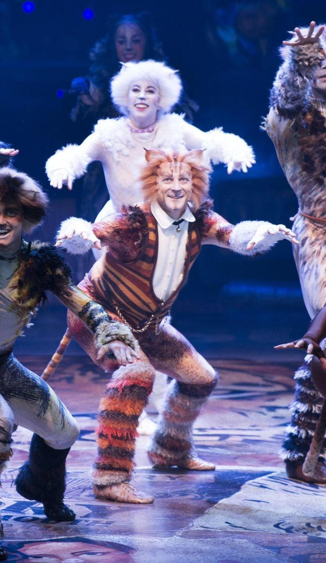 Cats promotional image for upcoming events and ticket sales