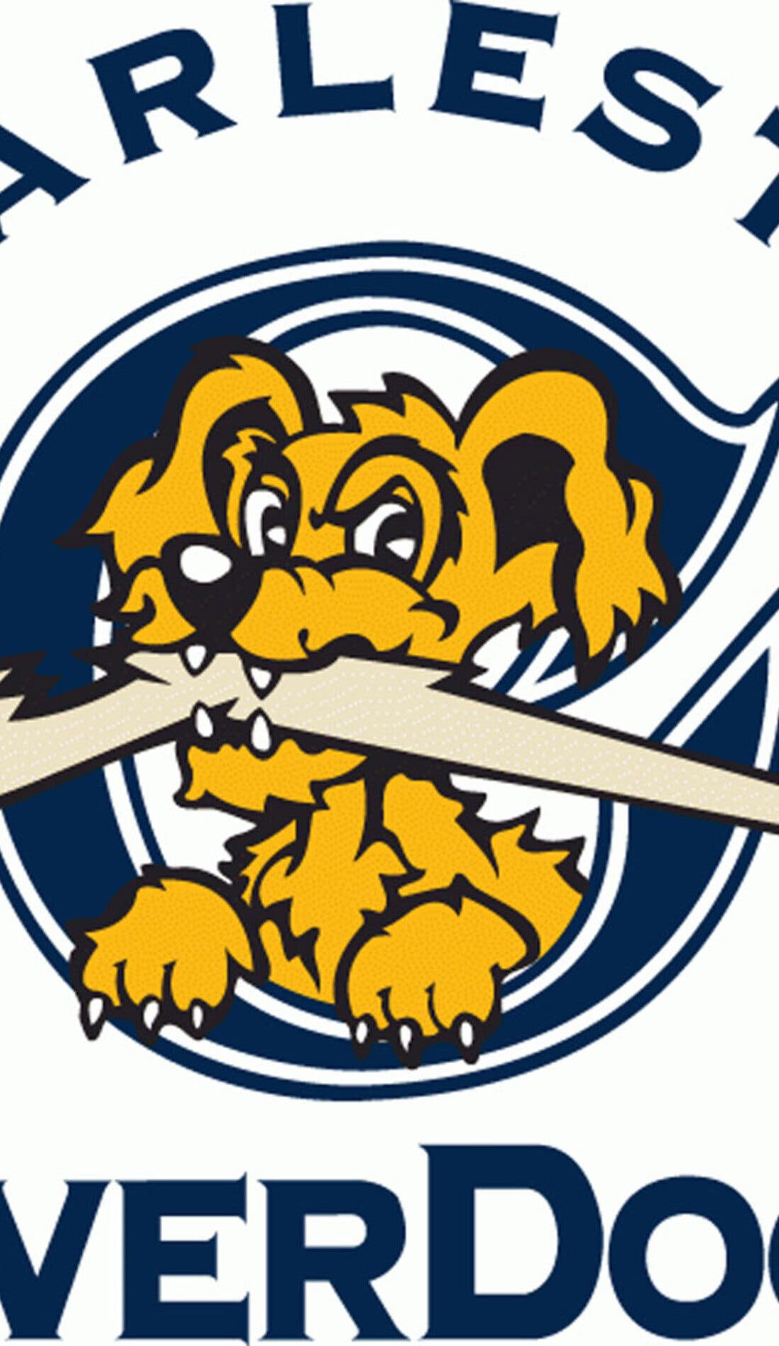 Charleston RiverDogs promotional image for upcoming events and ticket sales