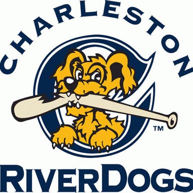 Promotional image of Charleston RiverDogs