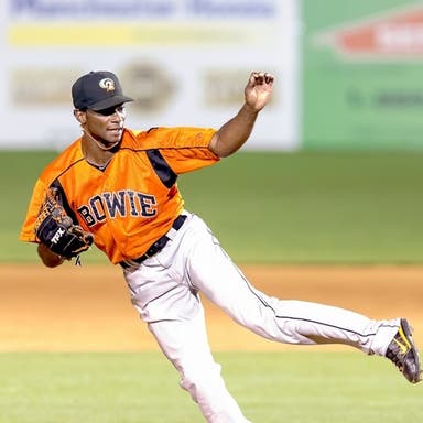 Promotional image of Chesapeake Baysox