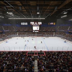 Chicago Wolves