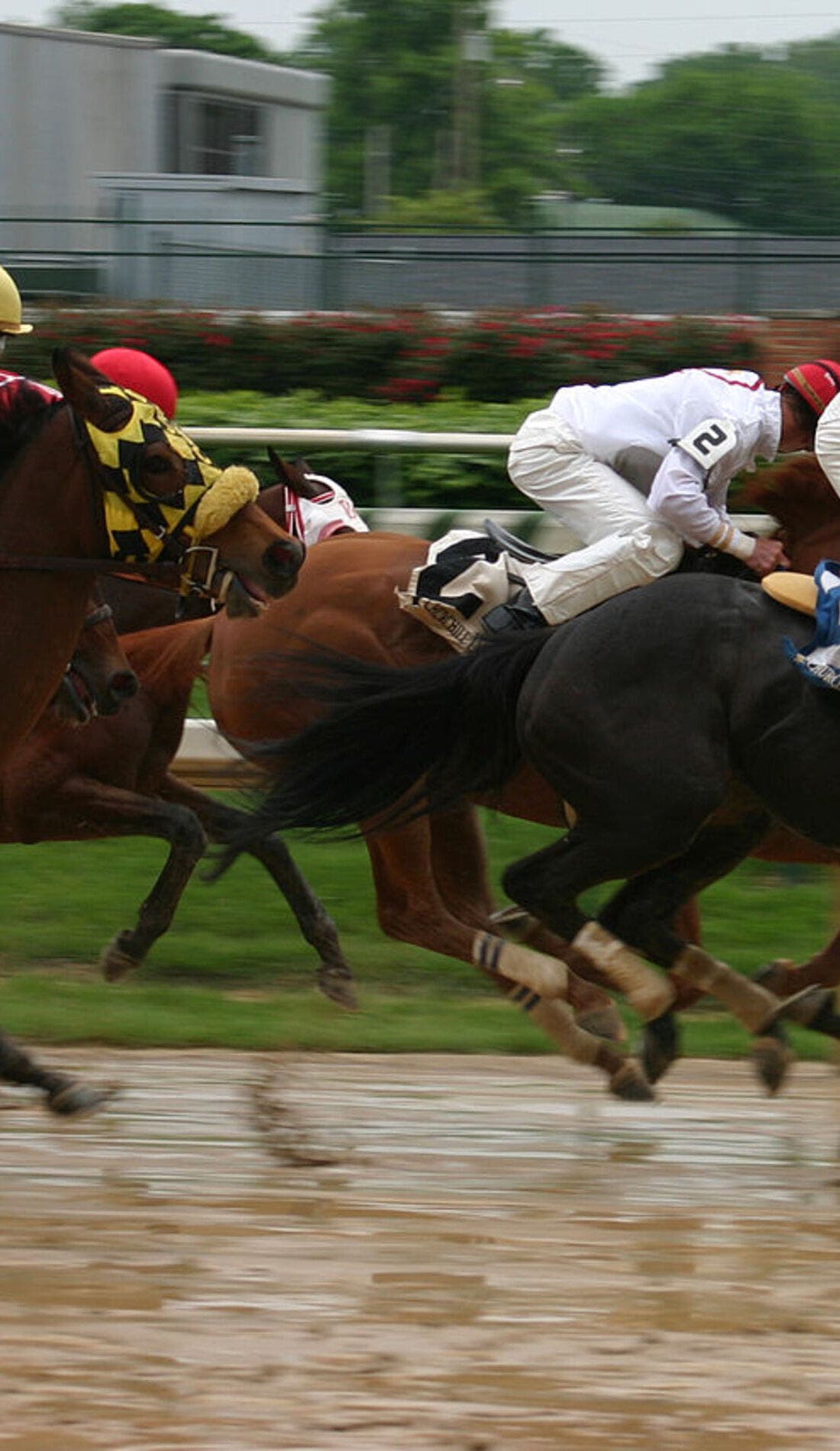 Churchill Downs Spring Racing promotional image for upcoming events and ticket sales