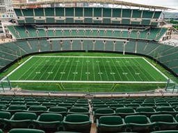 Cincinnati Bengals