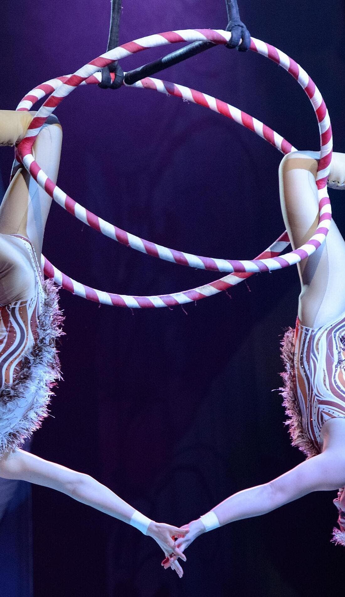 Cirque Dreams Holidaze promotional image for upcoming events and ticket sales