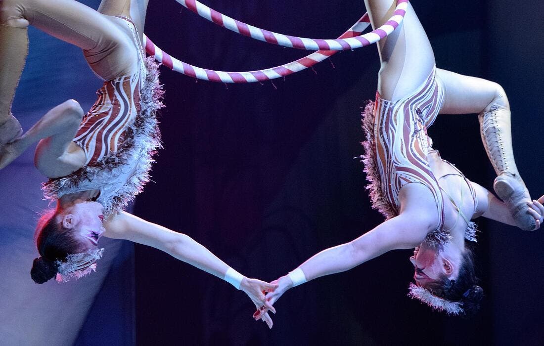 Promotional image for Cirque Dreams Holidaze tickets