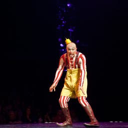 Cirque du Soleil: Drawn to Life