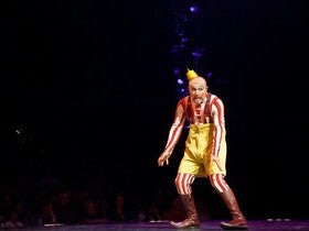 Cirque du Soleil: Drawn to Life