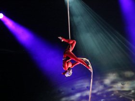Cirque du Soleil: Luzia