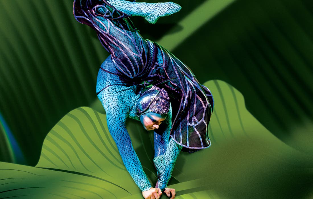 Promotional image for Cirque du Soleil: OVO tickets at Amerant Bank Arena on Aug 23, 2025