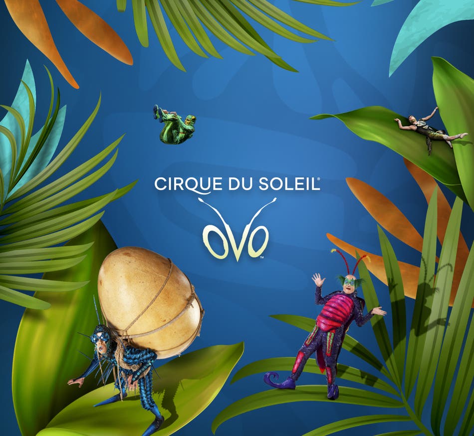 Bojangles Coliseum Seating Chart & Seat Views SeatGeek