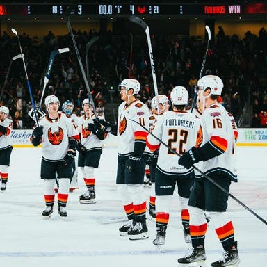Promotional image of Coachella Valley Firebirds