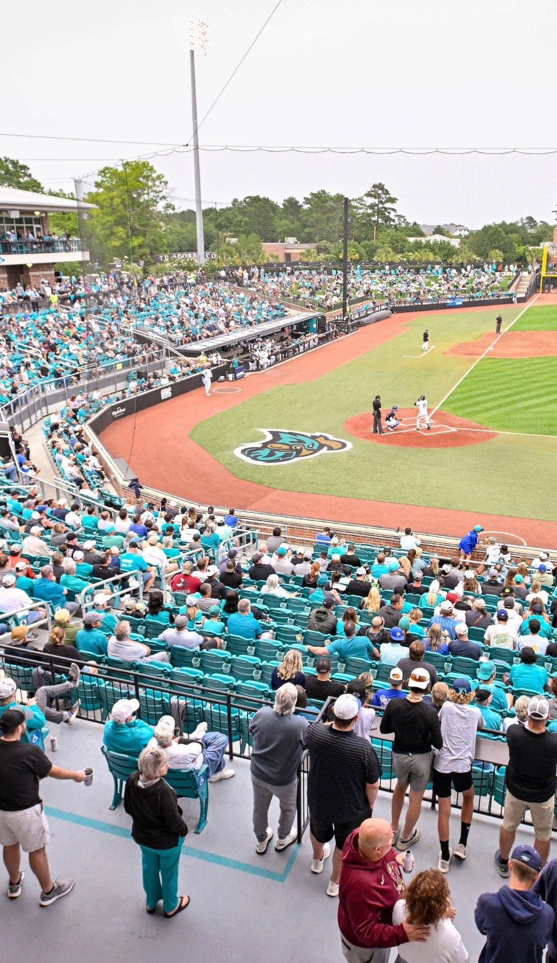 Coastal Carolina Chanticleers Baseball promotional image for upcoming events and ticket sales