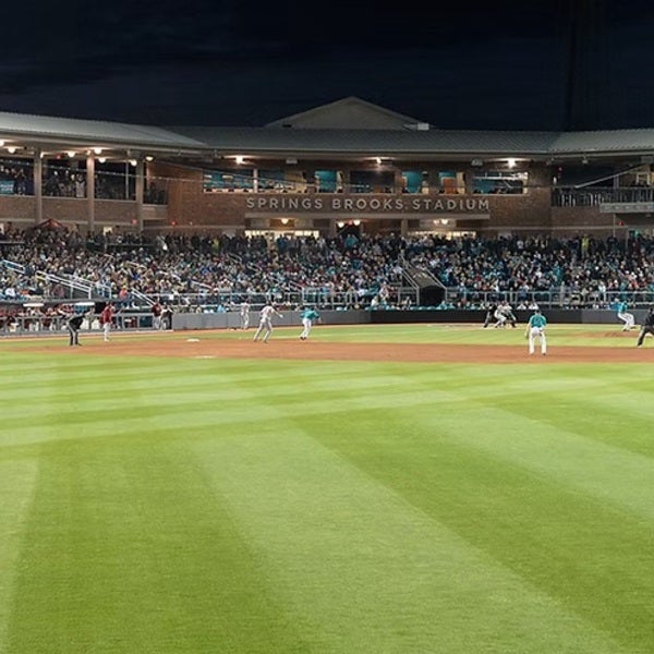 Coastal Carolina Chanticleers Softball