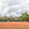 Coastal Carolina Chanticleers Softball