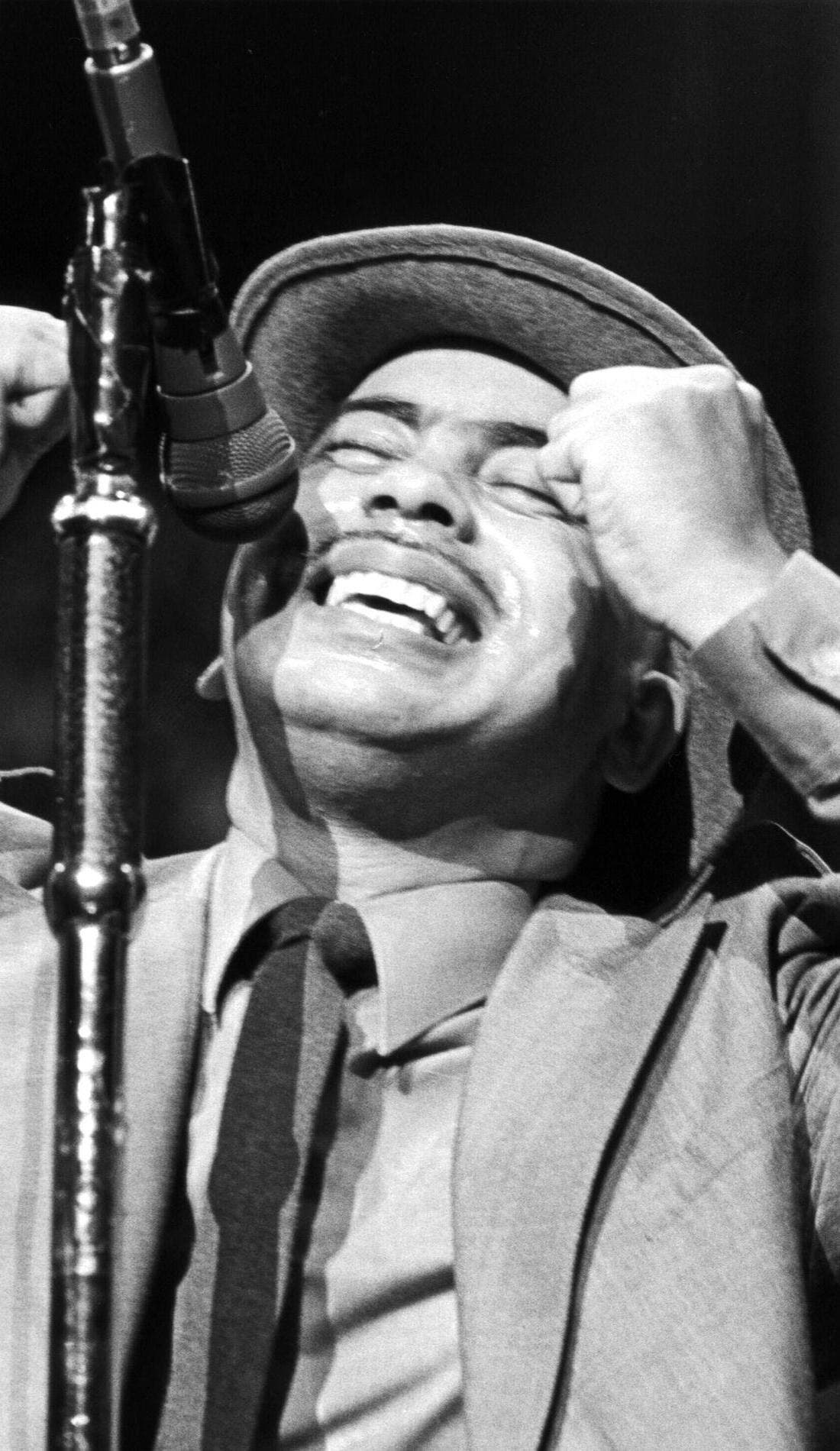 Coati Mundi promotional image for upcoming events and ticket sales