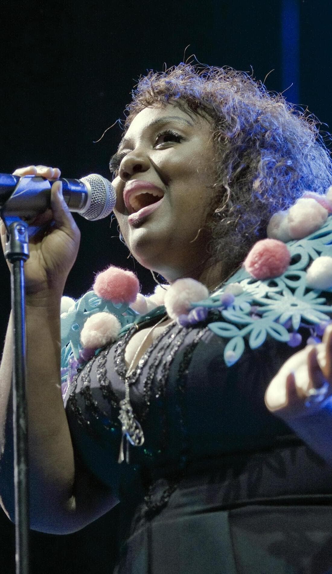 CocknBullKid promotional image for upcoming events and ticket sales