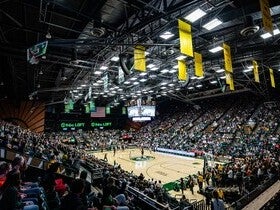 Colorado State Rams Womens Basketball