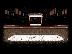 Cornell Big Red Womens Hockey