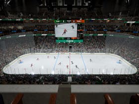 Dallas Stars