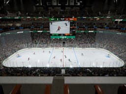 Dallas Stars
