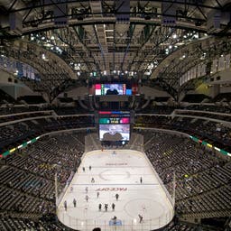 Dallas Stars