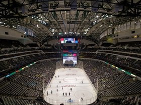 Dallas Stars