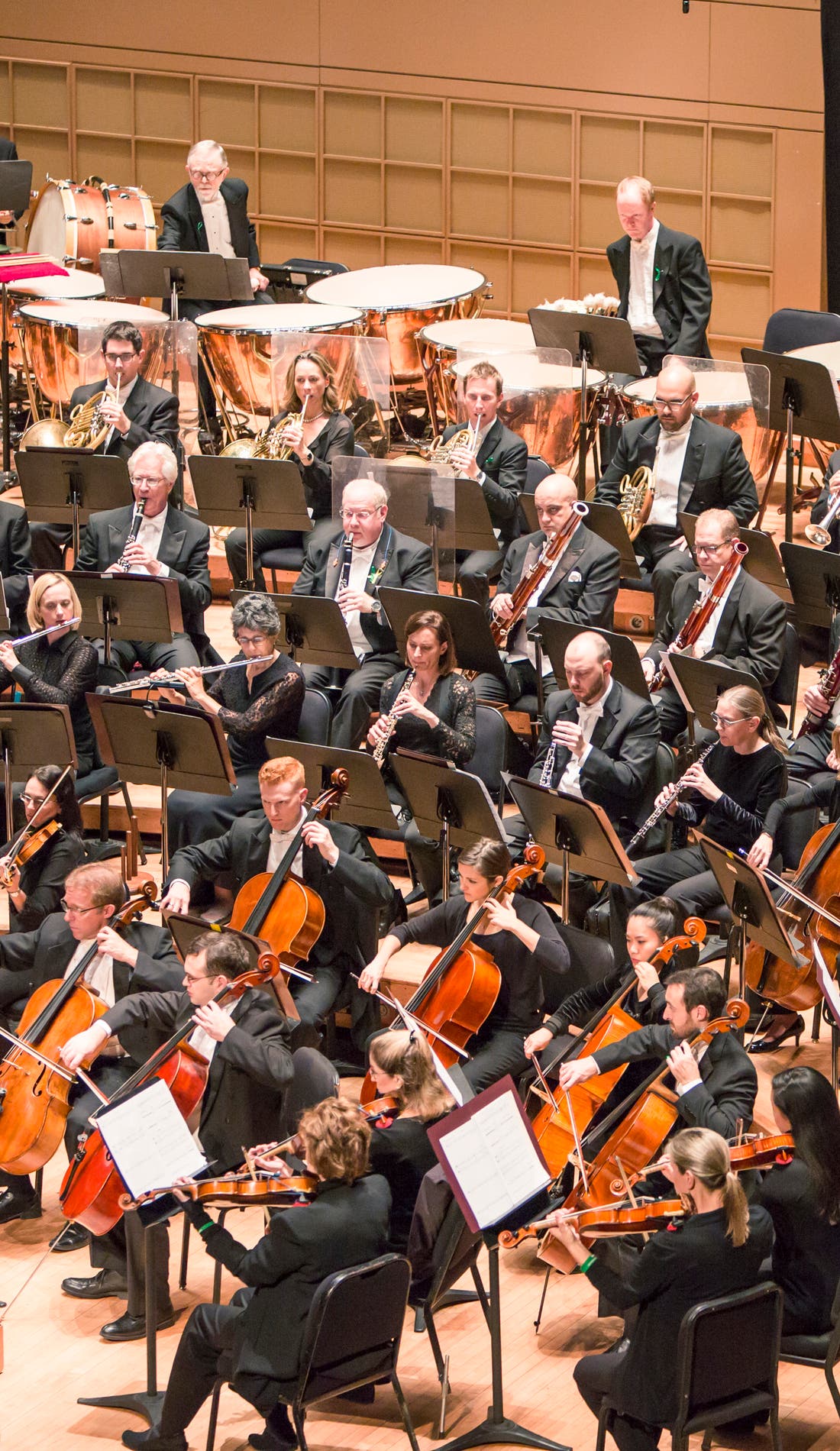 Dallas Symphony Orchestra promotional image for upcoming events and ticket sales