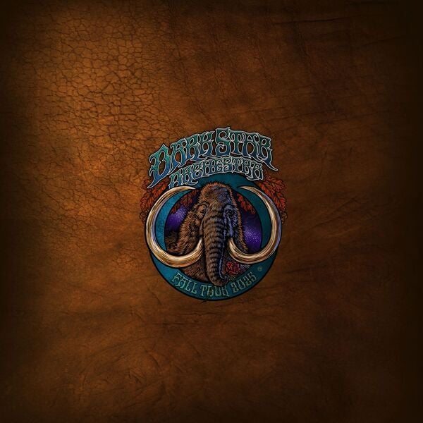 Dark Star Orchestra image